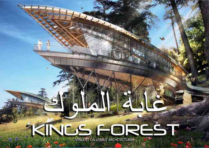 KINGS FOREST morocco_pl001