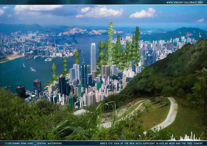 PERFUMED JUNGLE hong_kong_pl011