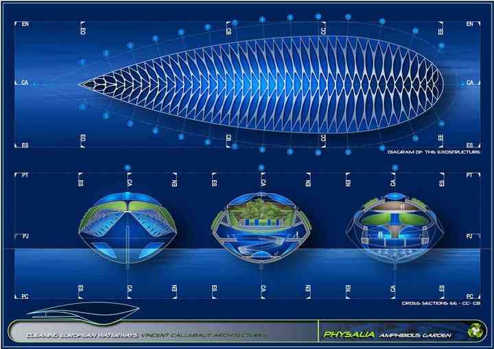 PHYSALIA physalia_pl021