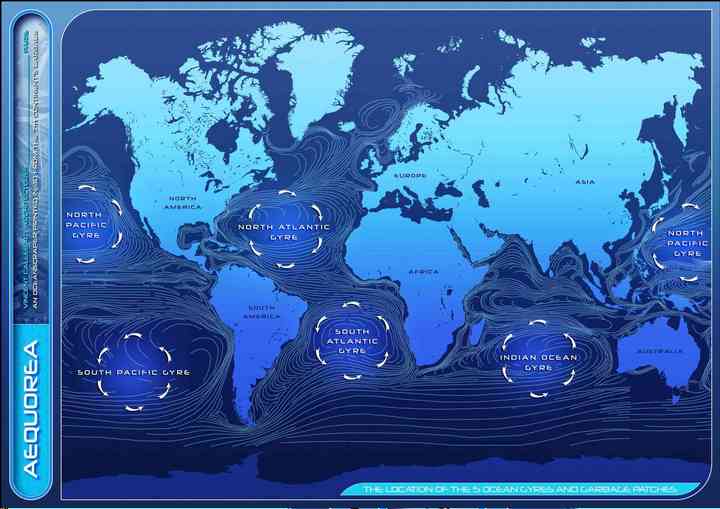 AEQUOREA aequorea_pl002