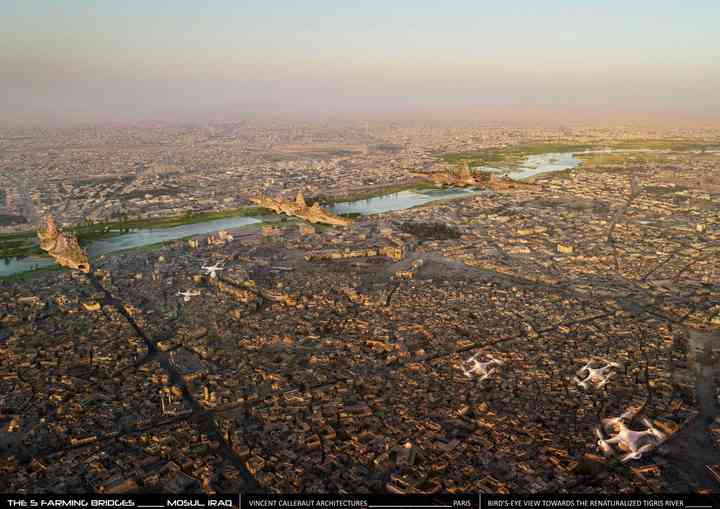 THE 5 FARMING BRIDGES, FIRST PRIZE WINNER mosul_pl002