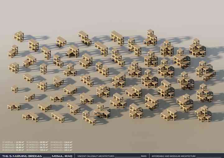 THE 5 FARMING BRIDGES, FIRST PRIZE WINNER mosul_pl018