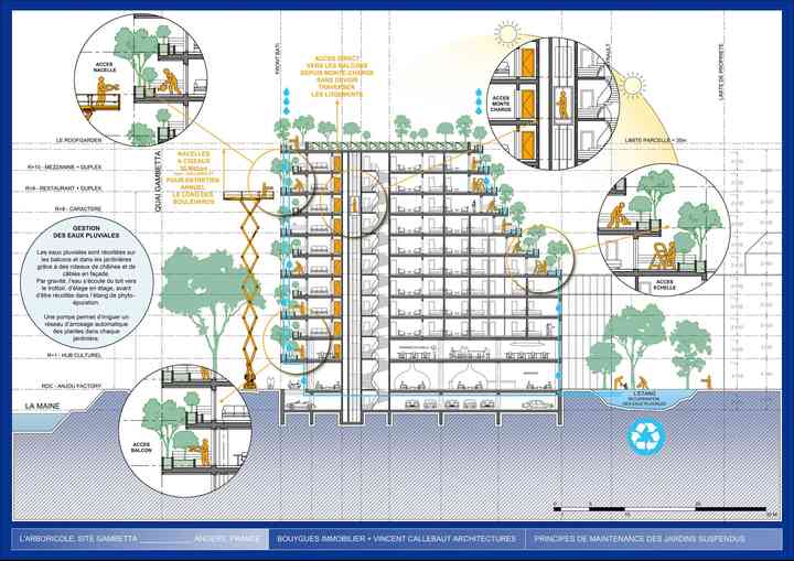 ARBORICOLE new_pl036