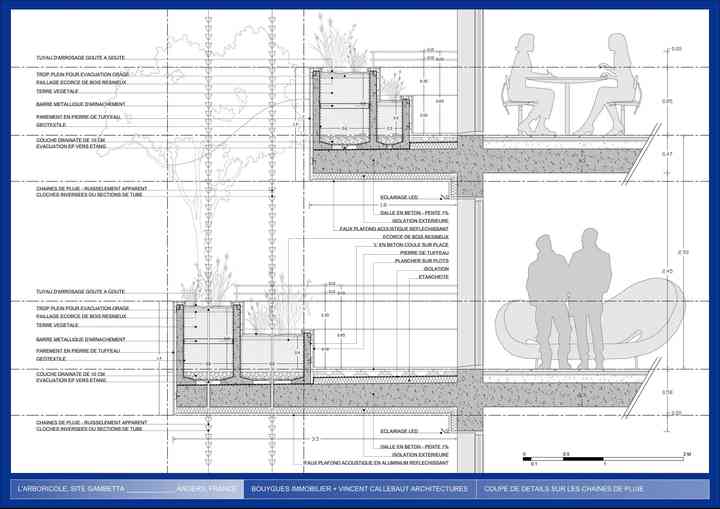 ARBORICOLE new_pl038