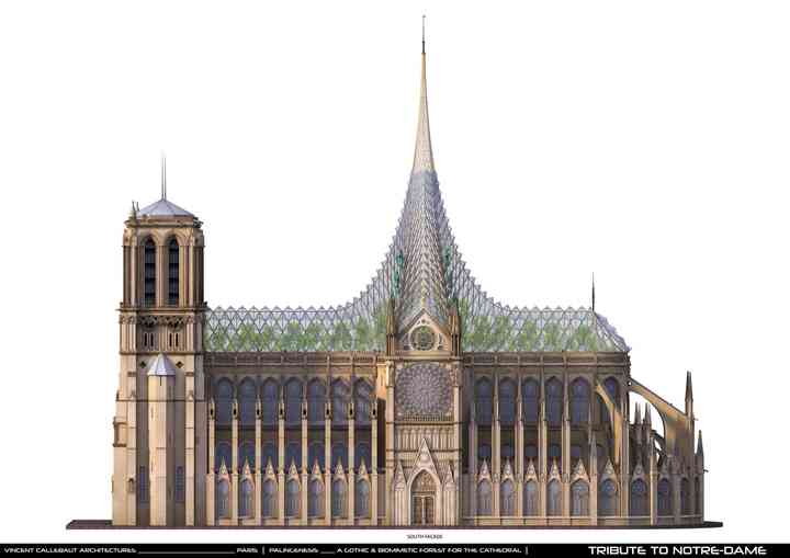 PALINGENESIS, VCA'S TRIBUTE TO NOTRE-DAME tributetonotredame_pl007