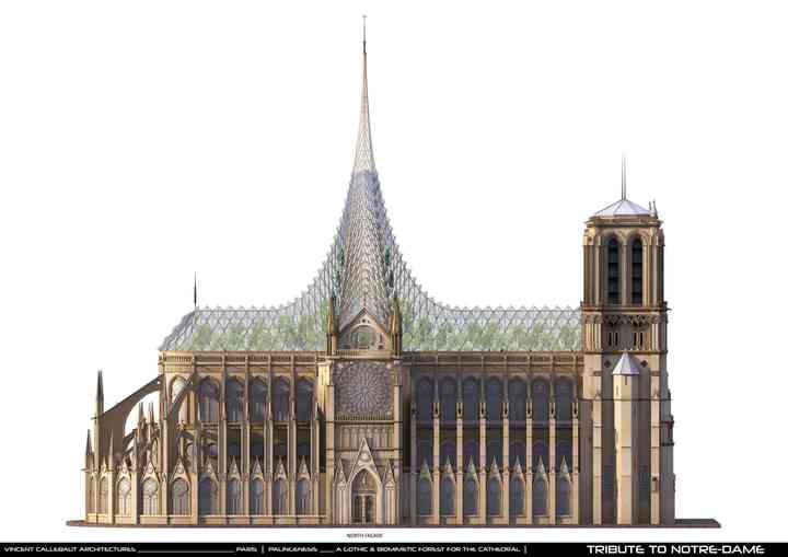 PALINGENESIS, VCA'S TRIBUTE TO NOTRE-DAME tributetonotredame_pl009