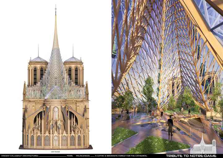 PALINGENESIS, VCA'S TRIBUTE TO NOTRE-DAME tributetonotredame_pl010