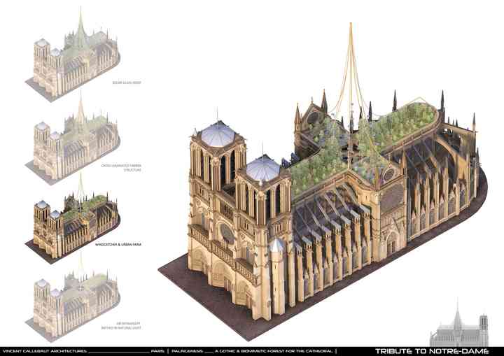 PALINGENESIS, VCA'S TRIBUTE TO NOTRE-DAME tributetonotredame_pl013