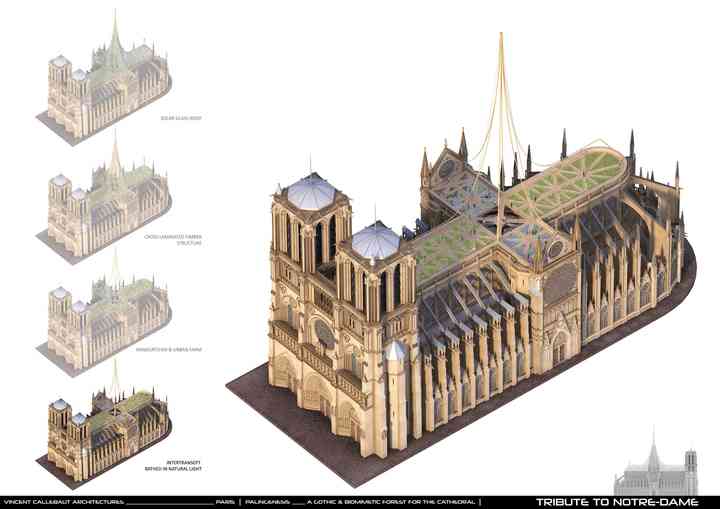 PALINGENESIS, VCA'S TRIBUTE TO NOTRE-DAME tributetonotredame_pl014