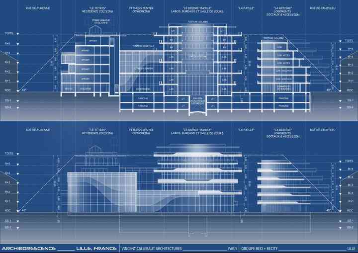 ARCHIBORESCENCE archiborescence_pl030