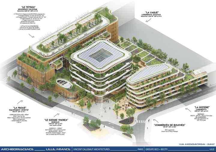 ARCHIBORESCENCE archiborescence_pl033