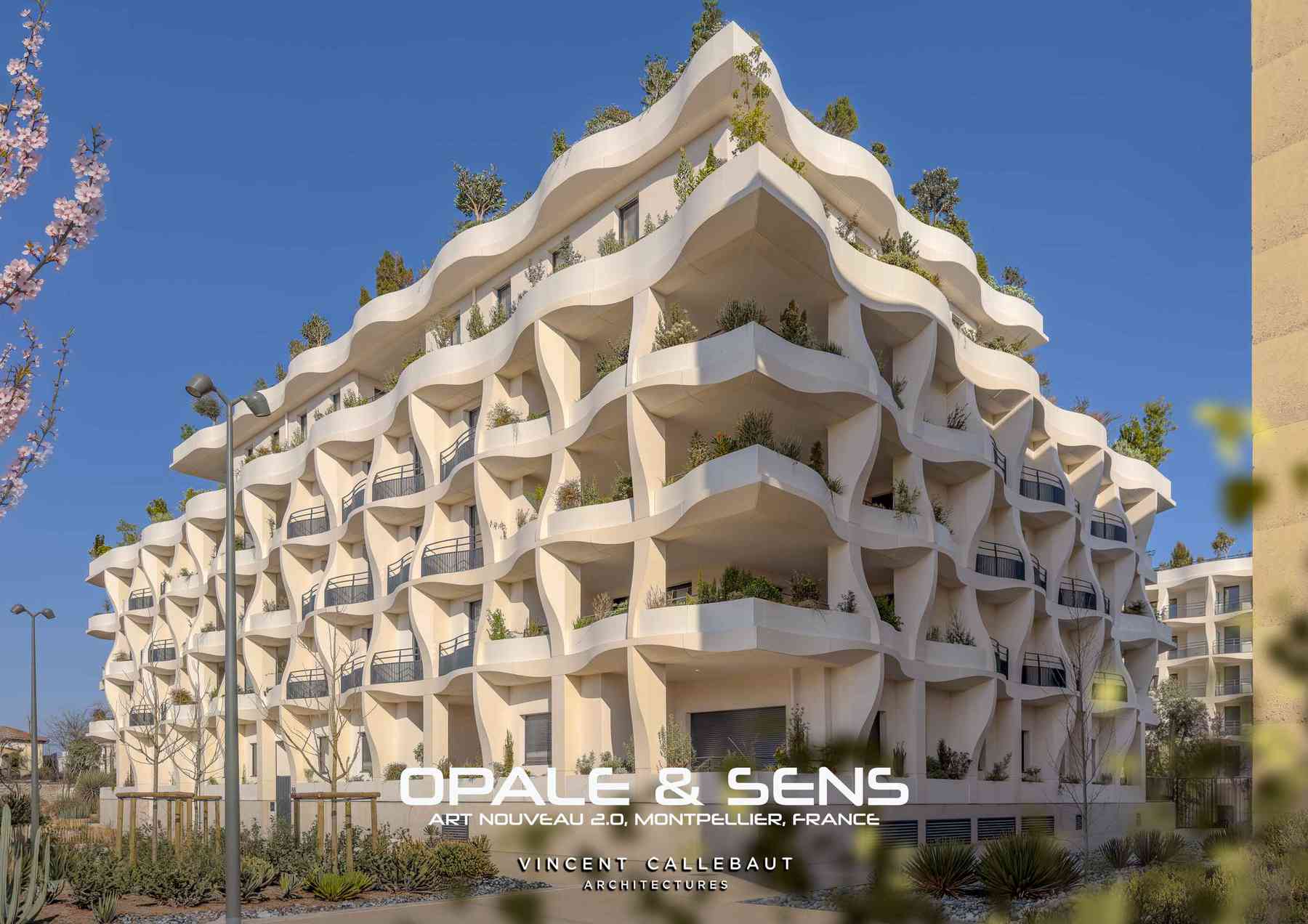 260126_opale-opale_pl001