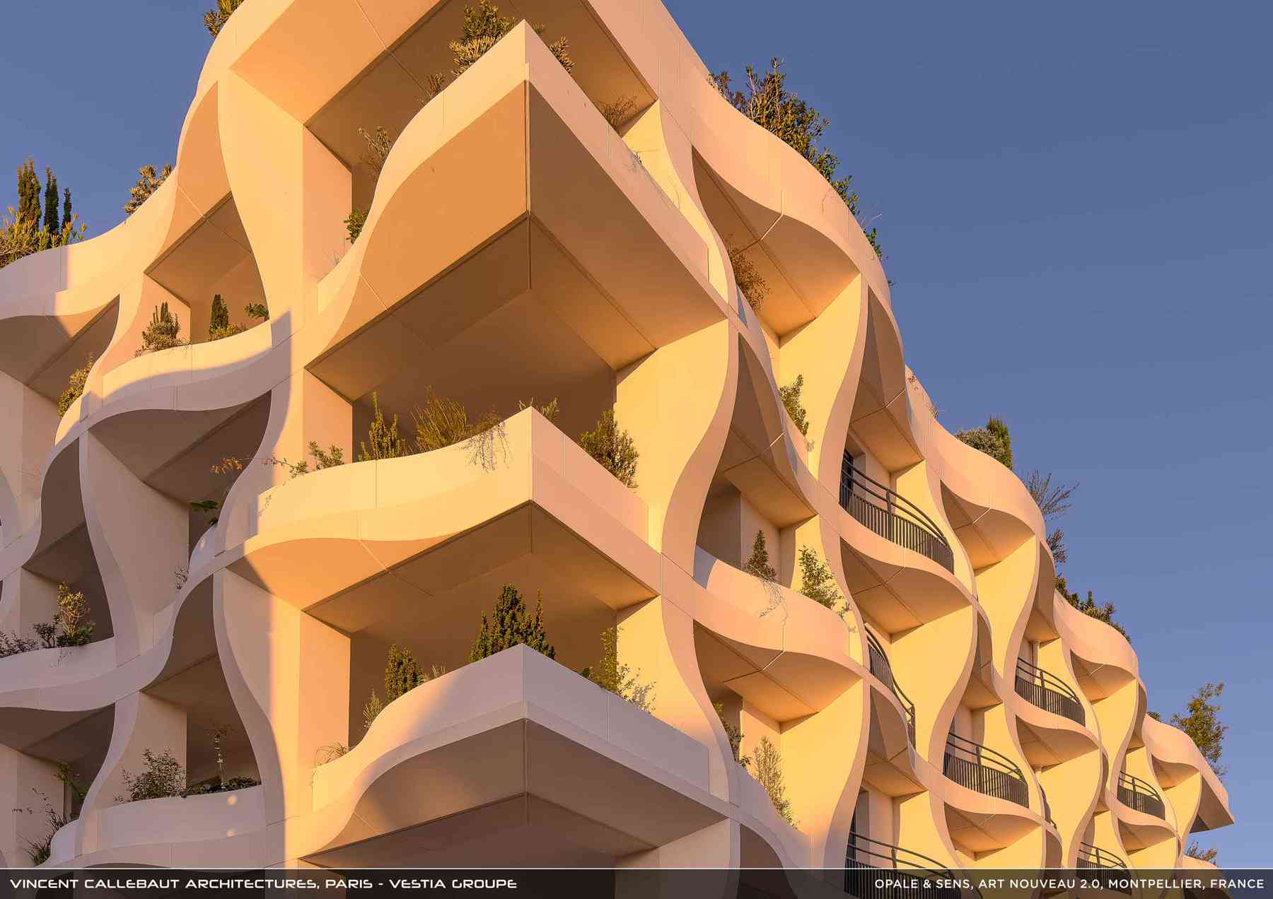 260126_opale-opale_pl008