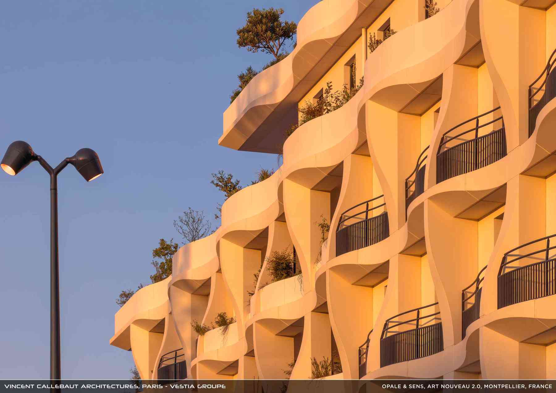 260126_opale-opale_pl012