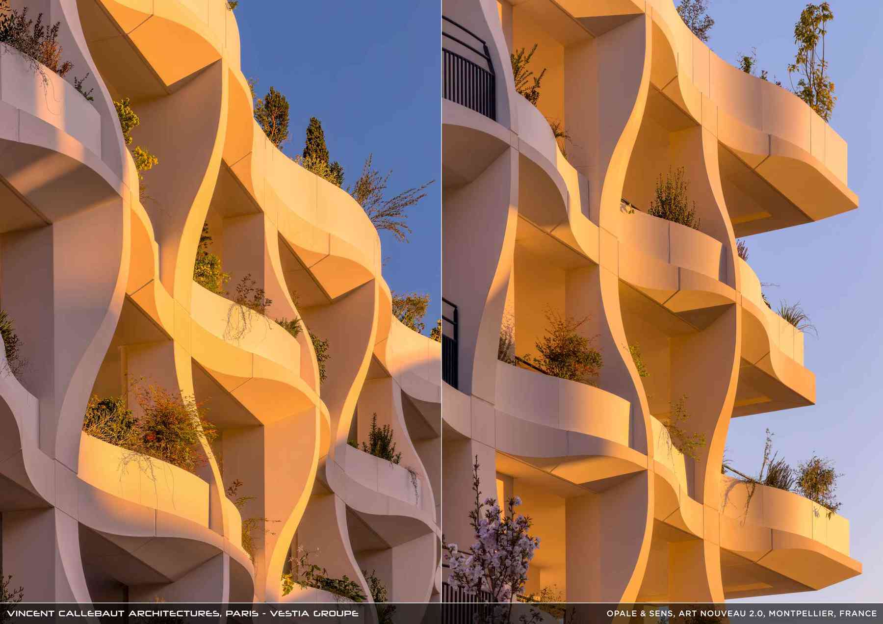 260126_opale-opale_pl013