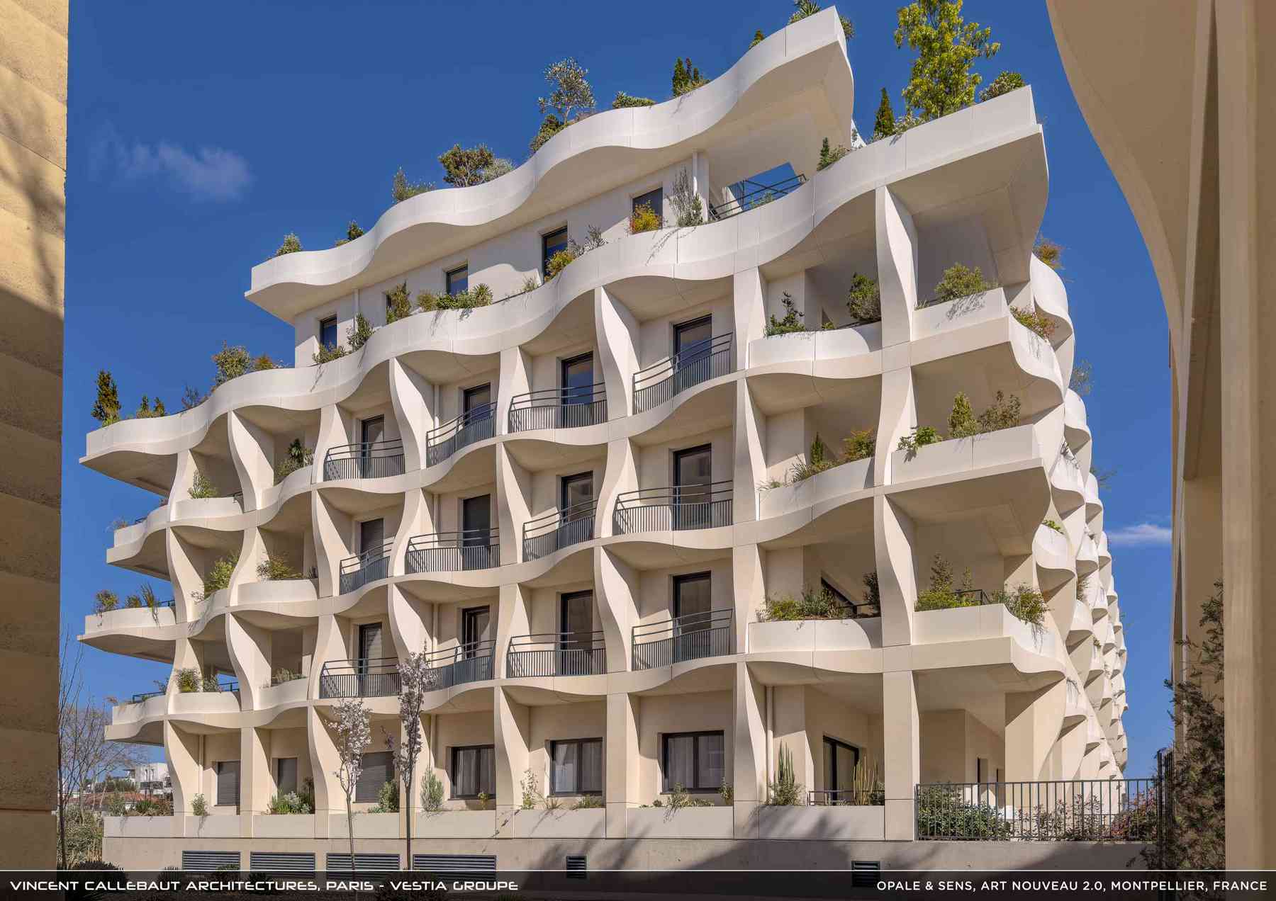 260126_opale-opale_pl015