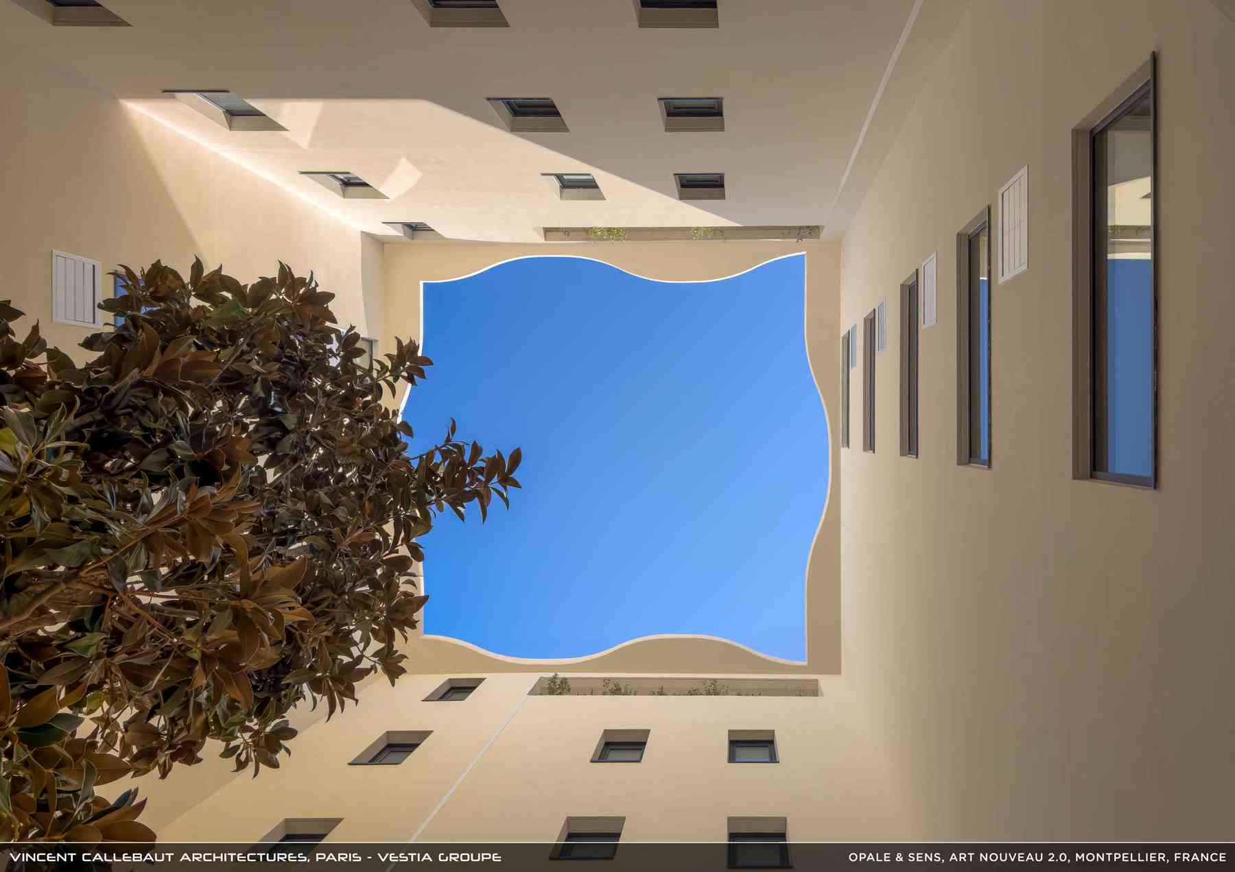 260126_opale-opale_pl016