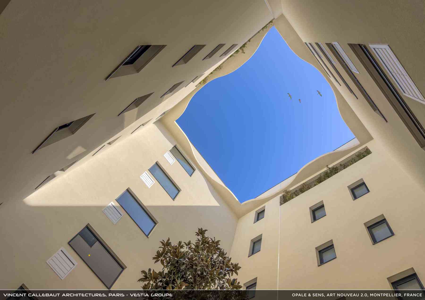 260126_opale-opale_pl020