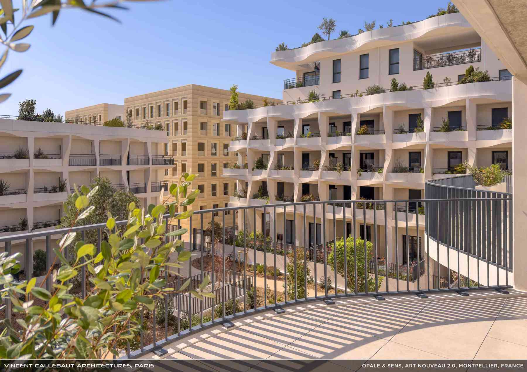 260126_opale-opale_pl025