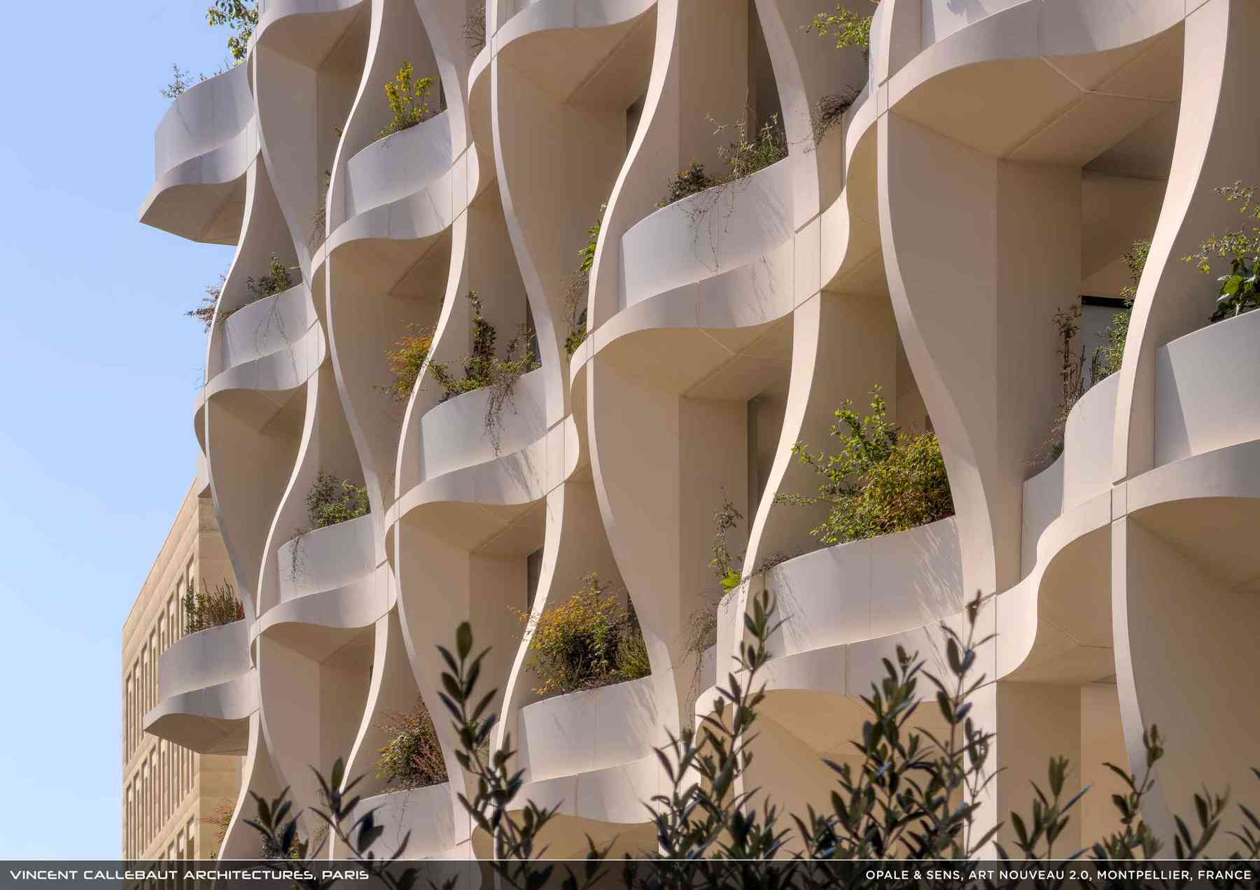 260126_opale-opale_pl026