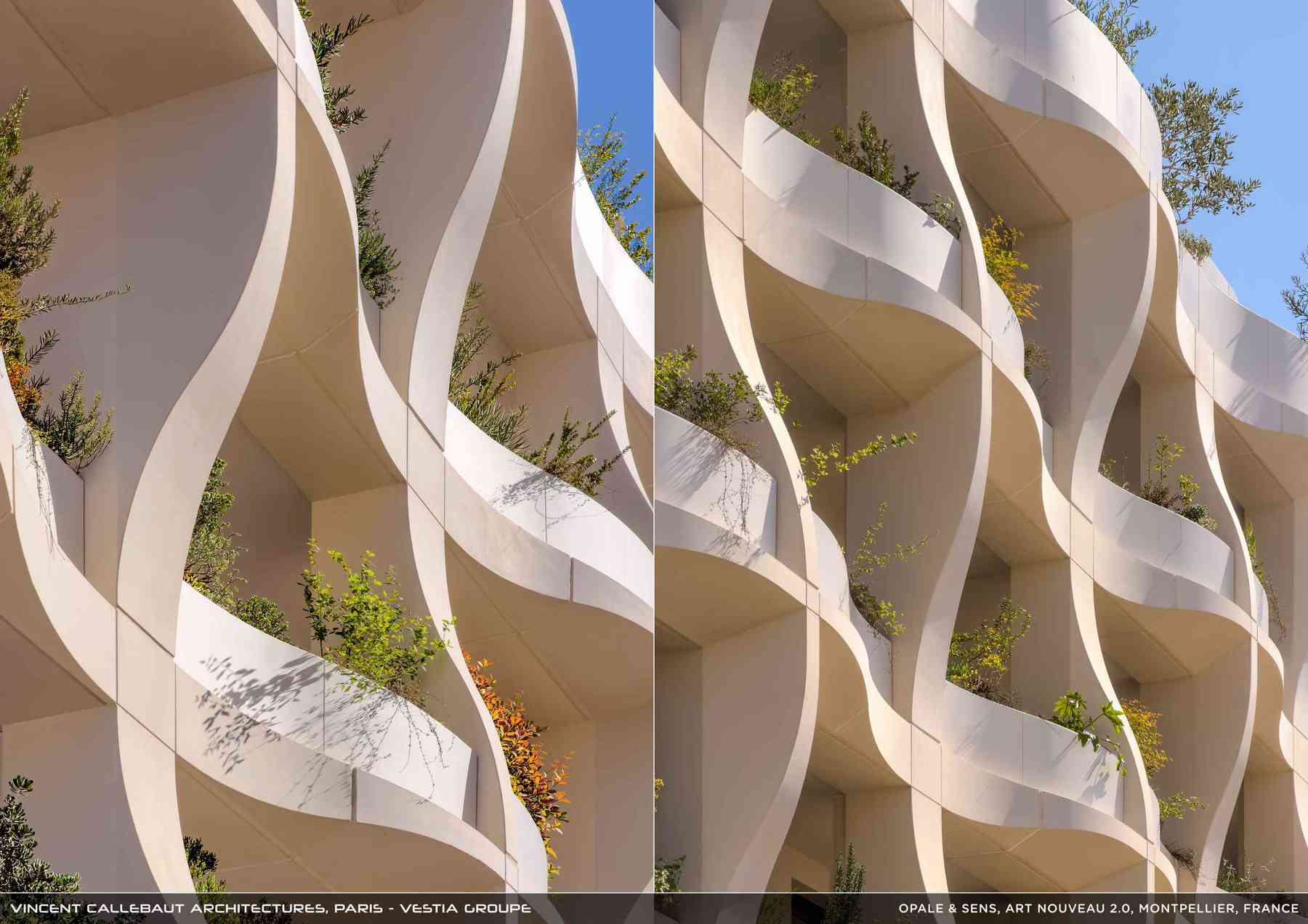 260126_opale-opale_pl027