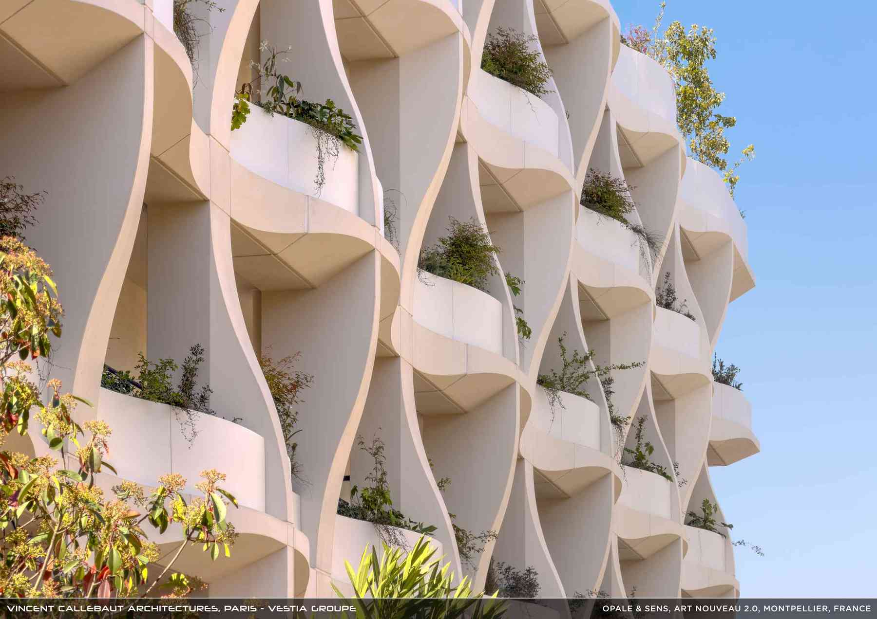 260126_opale-opale_pl029