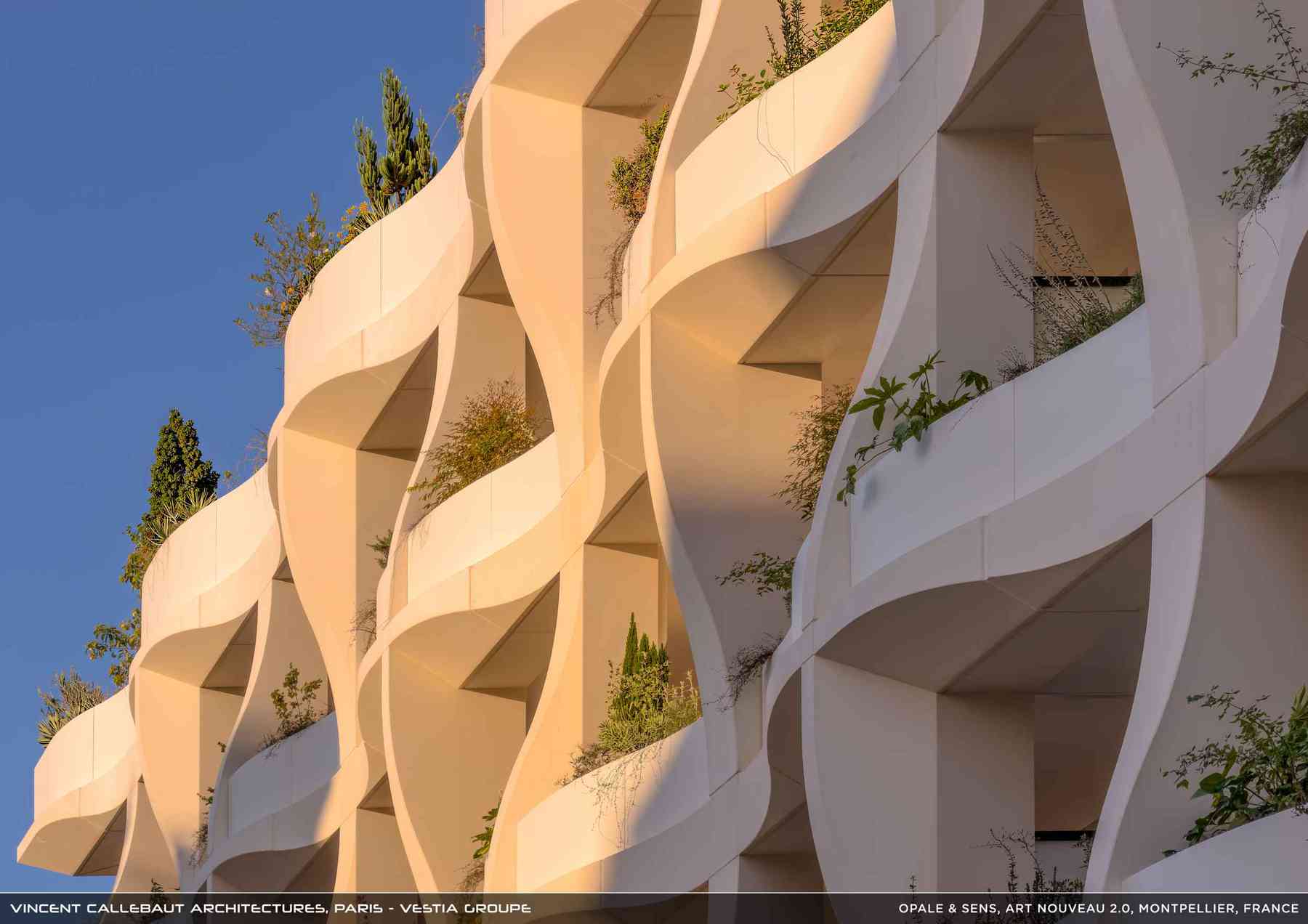 260126_opale-opale_pl039