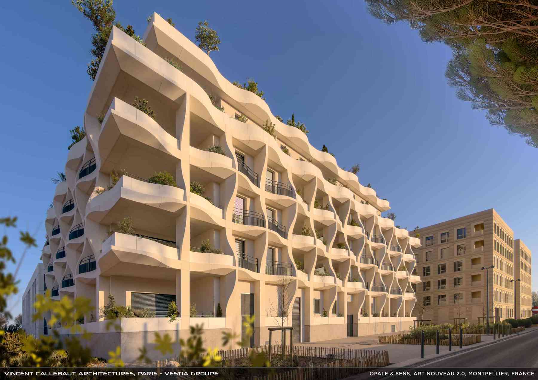 260126_opale-opale_pl040