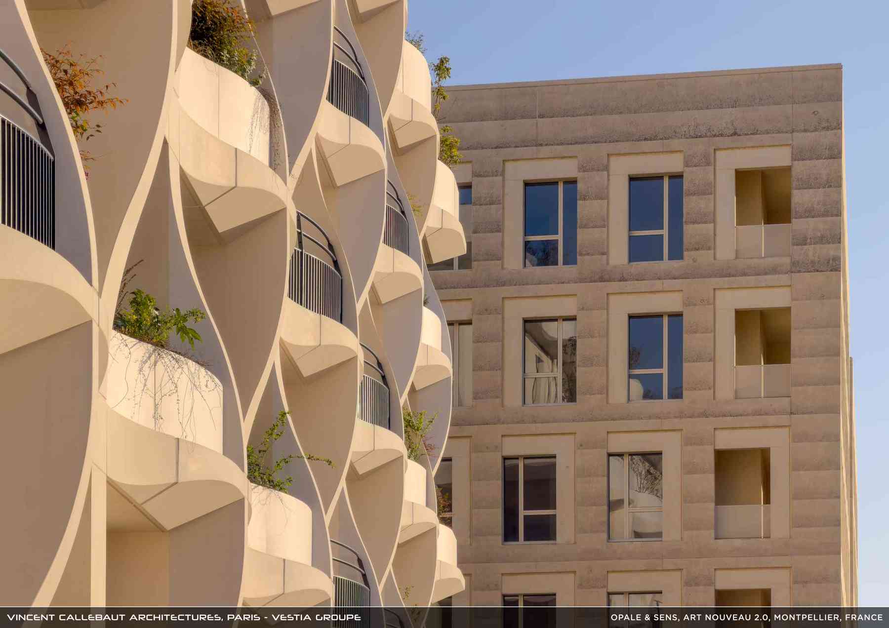 260126_opale-opale_pl041