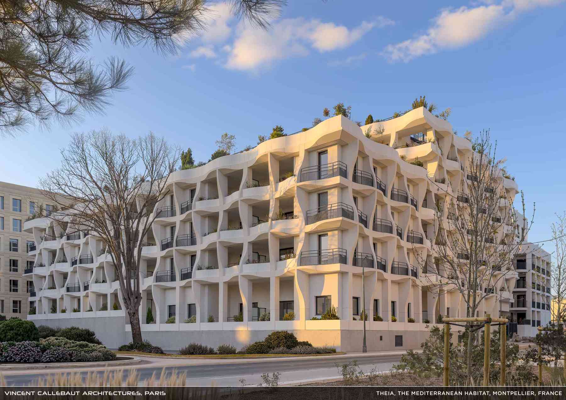 260407_theia-theia_pl005