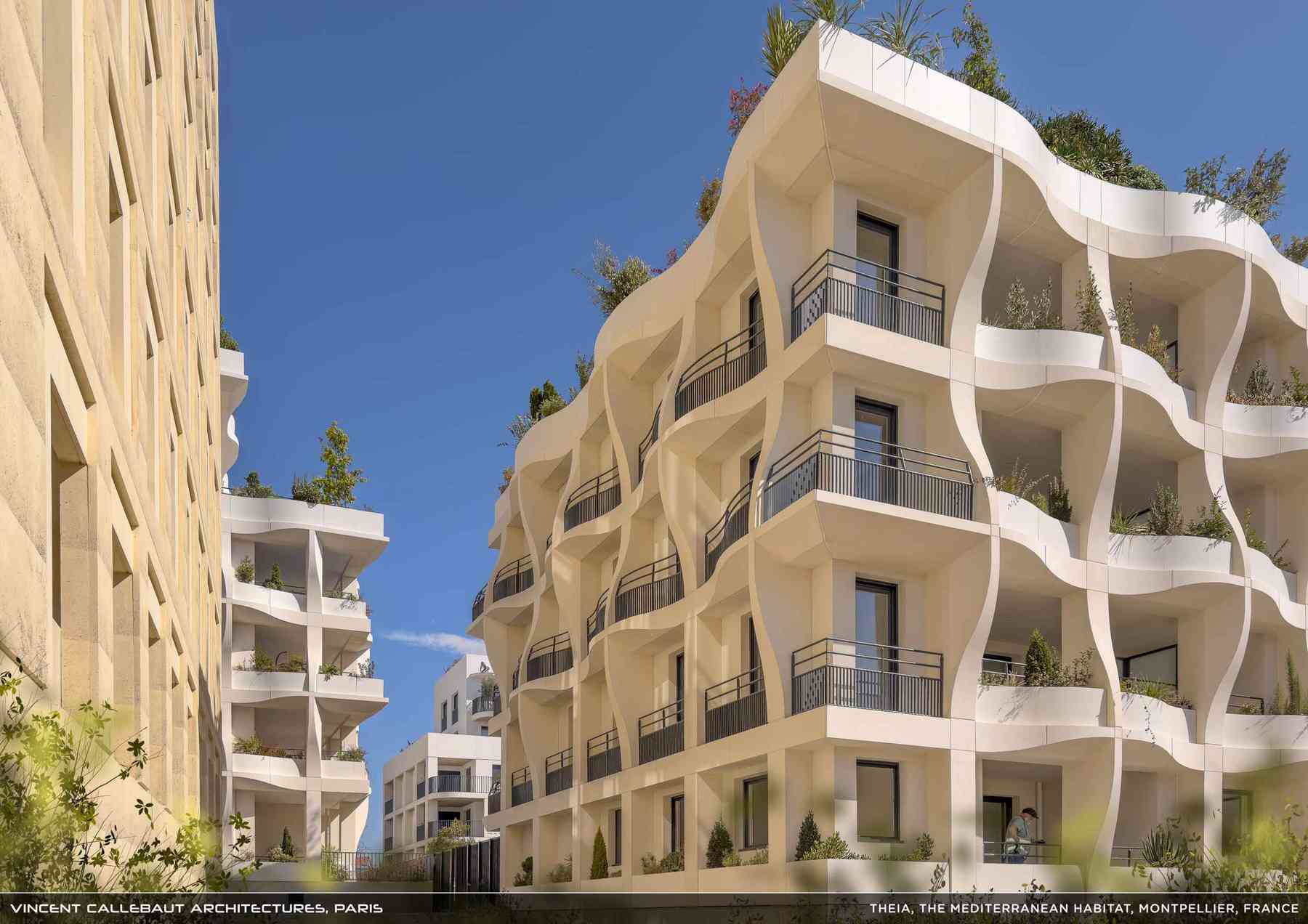 260407_theia-theia_pl007