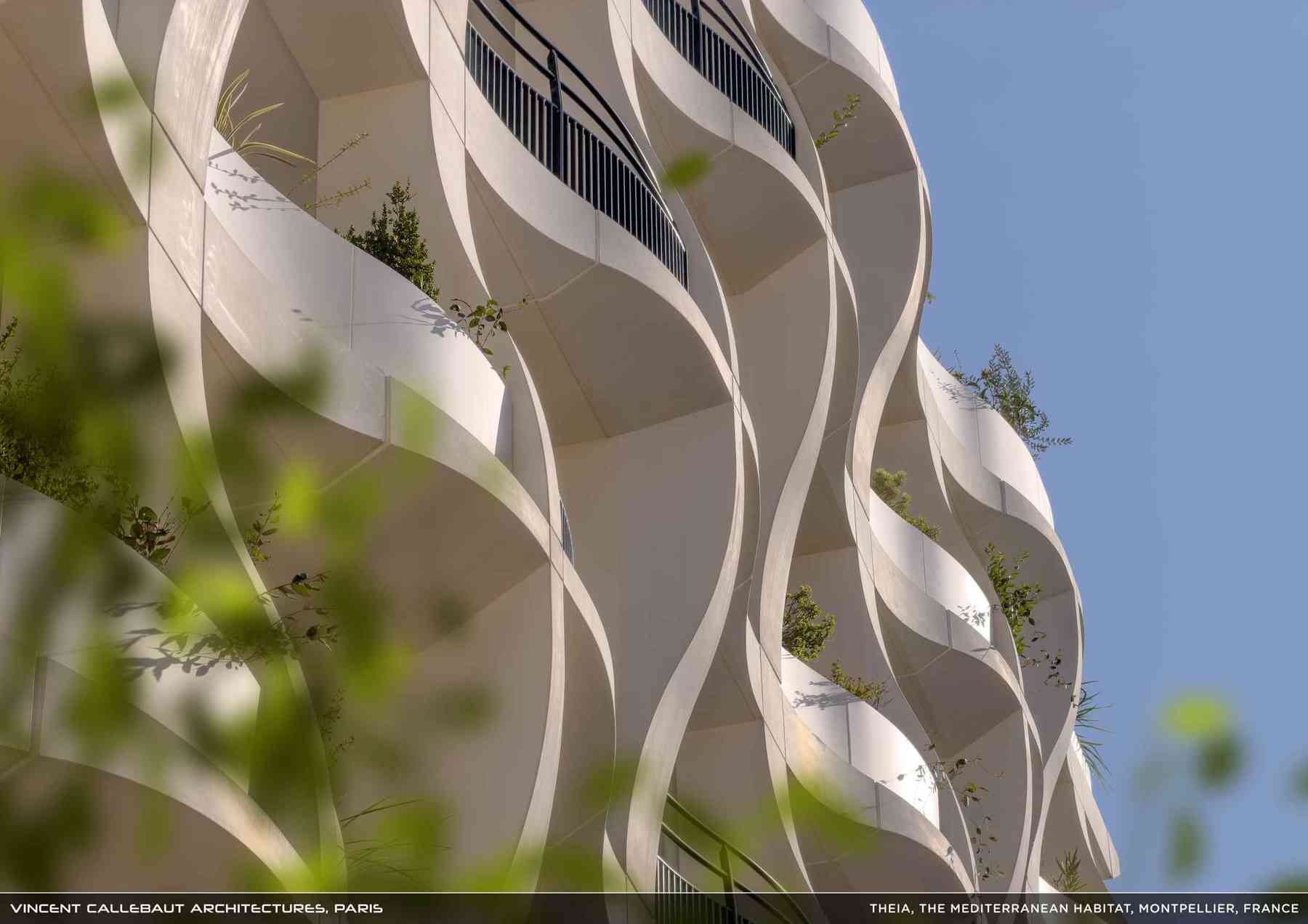 260407_theia-theia_pl008