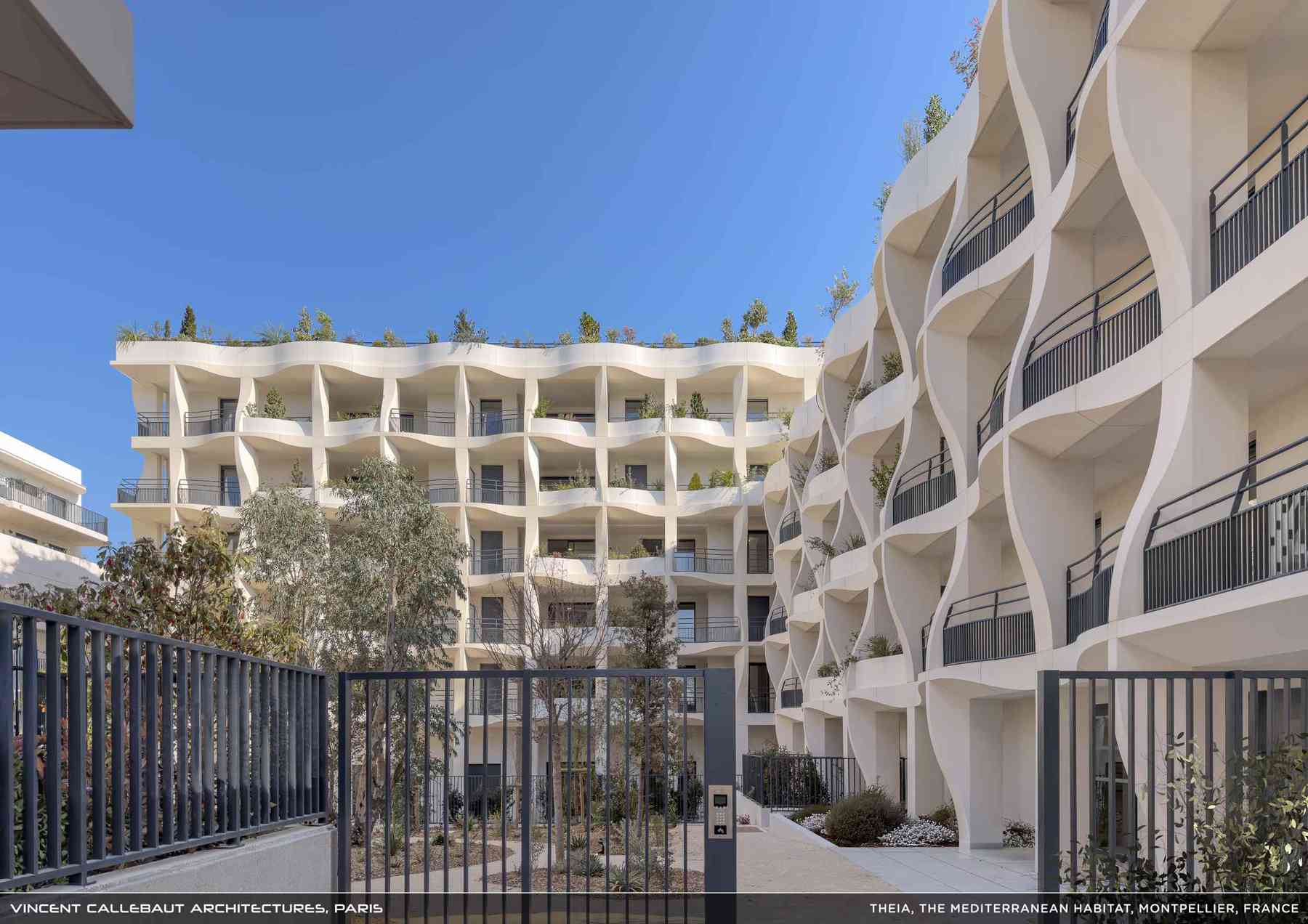 260407_theia-theia_pl012