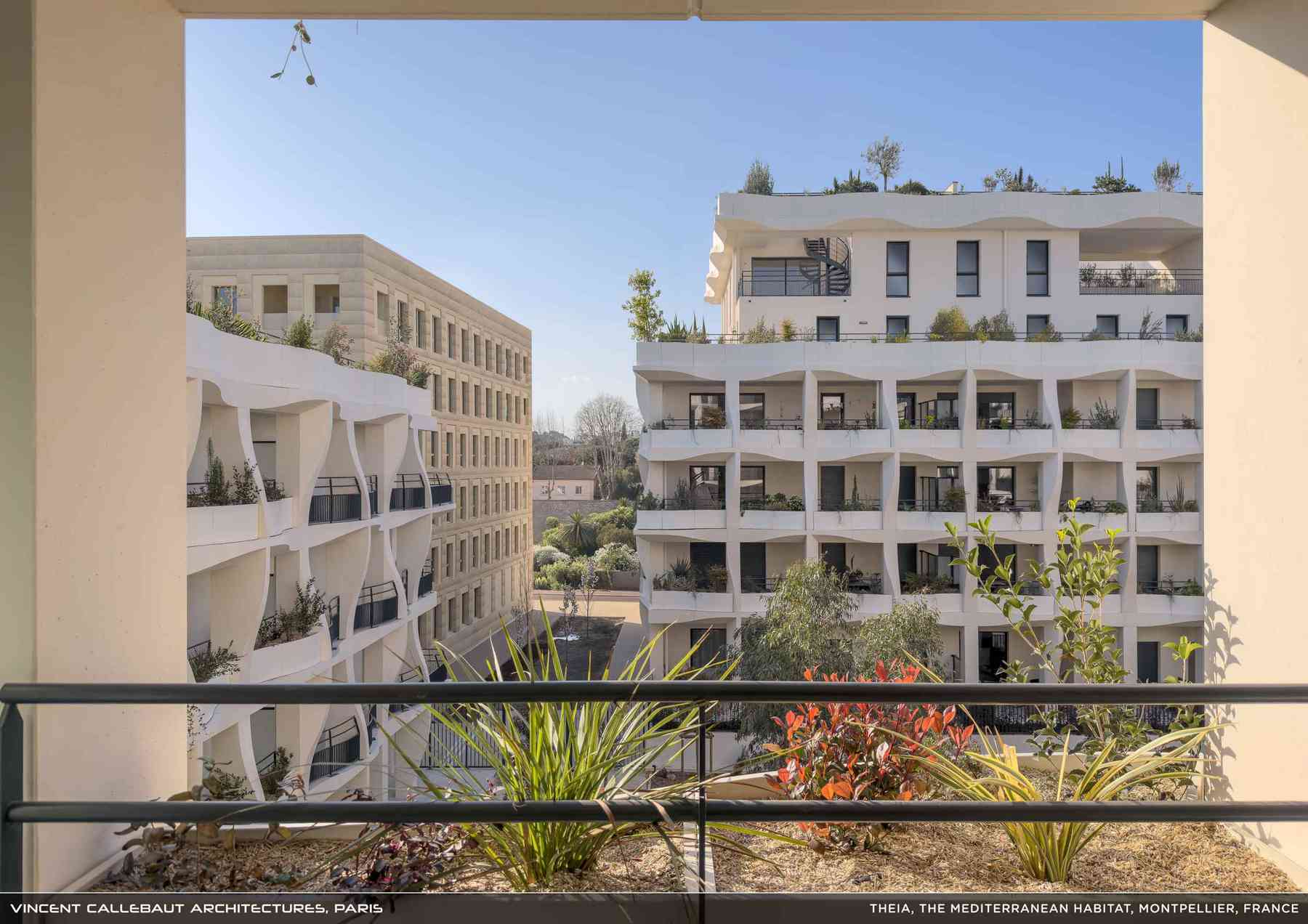 260407_theia-theia_pl014