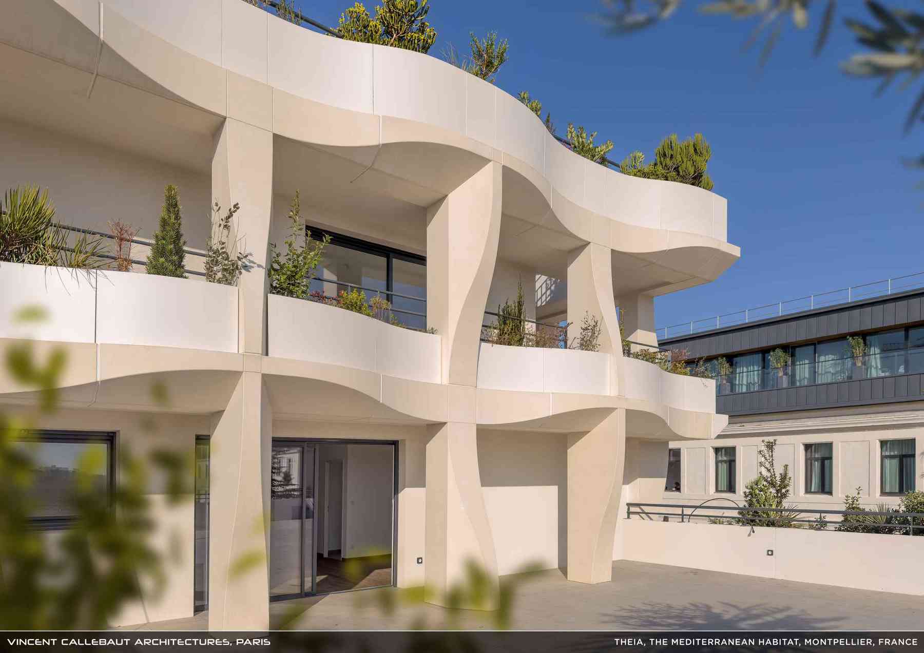 260407_theia-theia_pl015