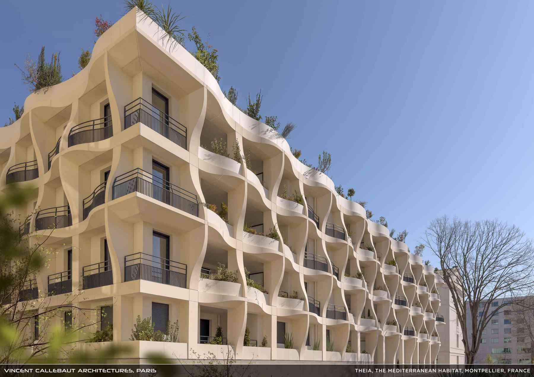 260407_theia-theia_pl023