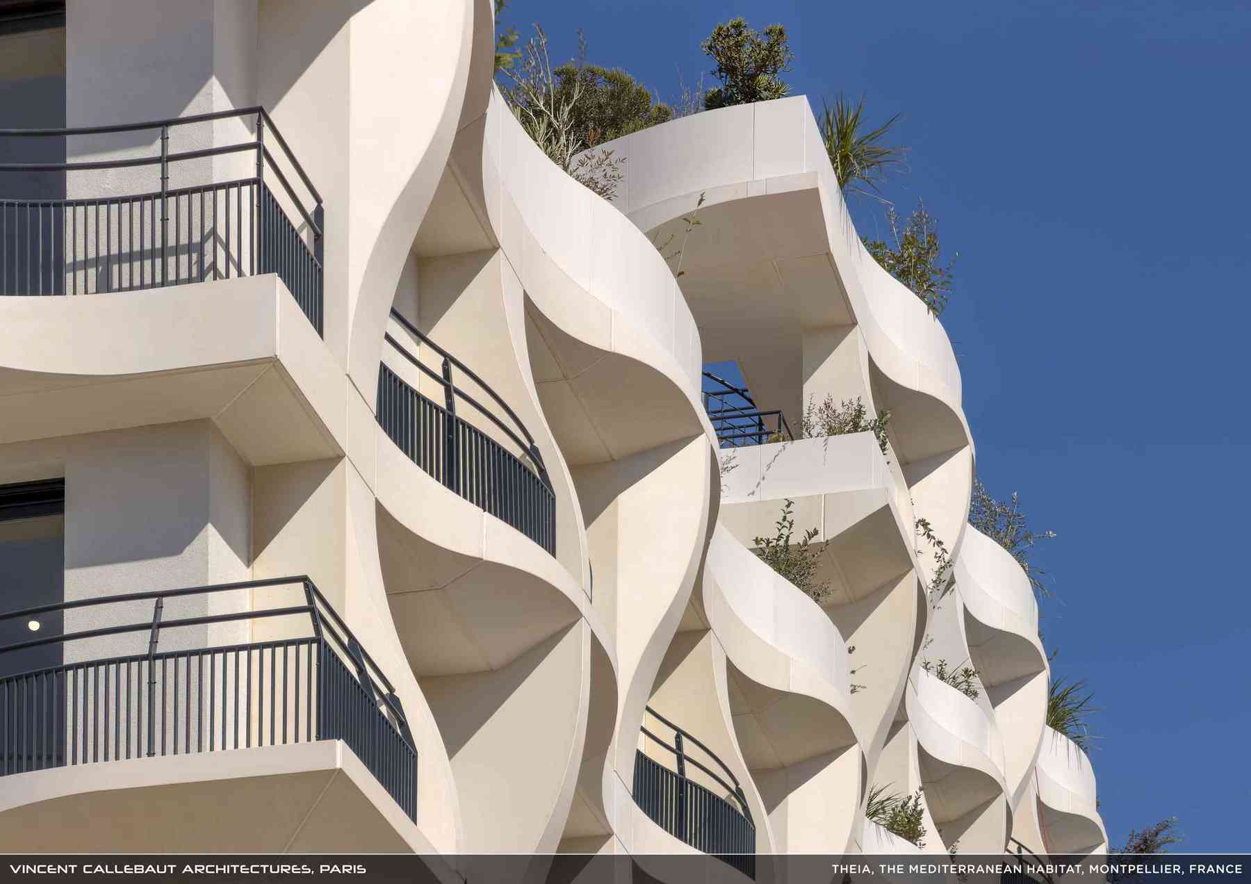 260407_theia-theia_pl028