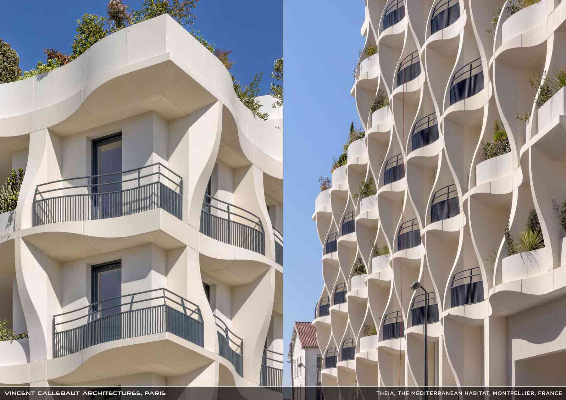 260407_theia-theia_pl037