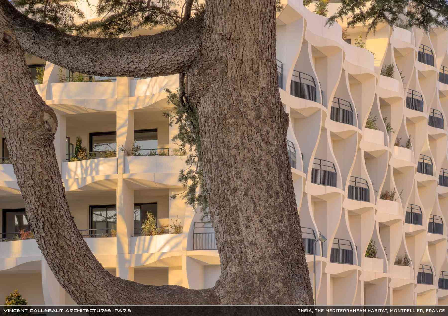 260407_theia-theia_pl042