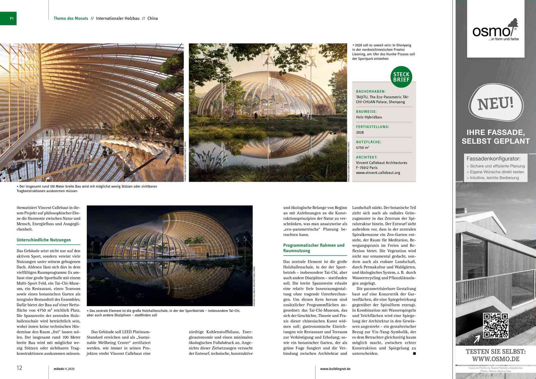 251114_mikado-mikado_pl003