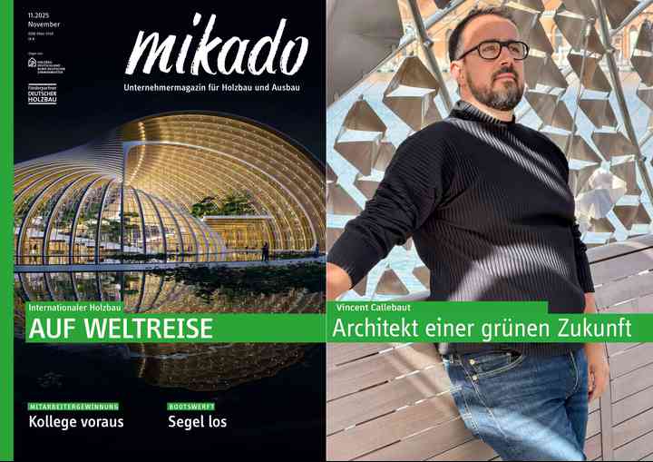MIKADO, BUILDING NET